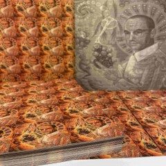 Albert Hofmann 250UG 200TABS